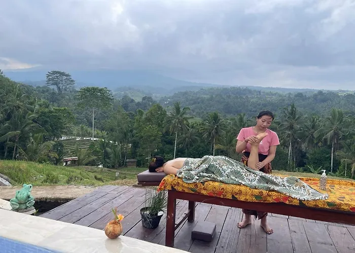 Kts - Kubu Tepi Sawah * Selemadeg