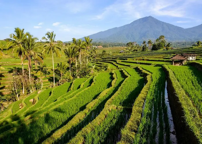 Villa Kts - Kubu Tepi Sawah